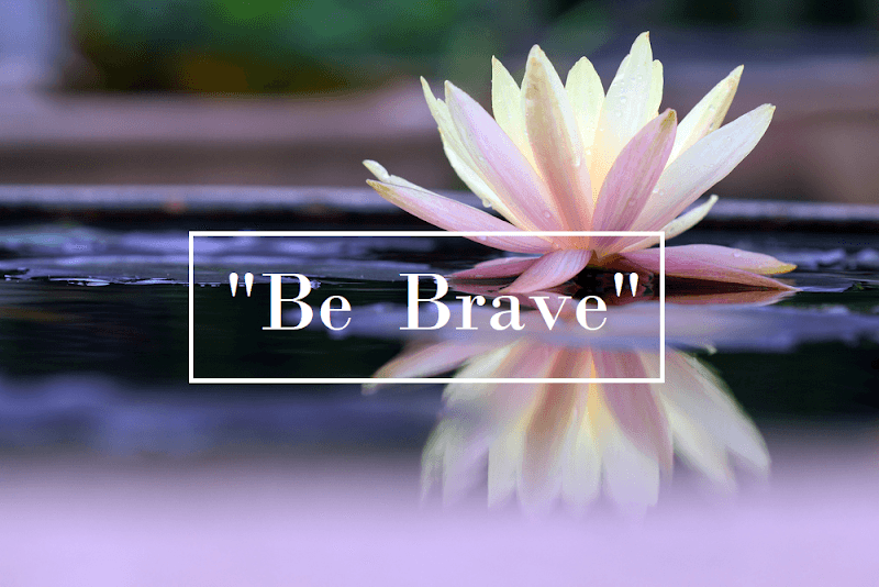 A Time to Rise - Counseling & Wellness LLC