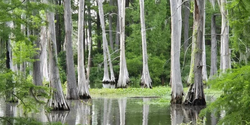 Active Recovery Addiction Services