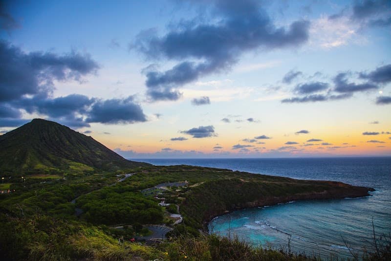 Aloha Wellness Center Inc