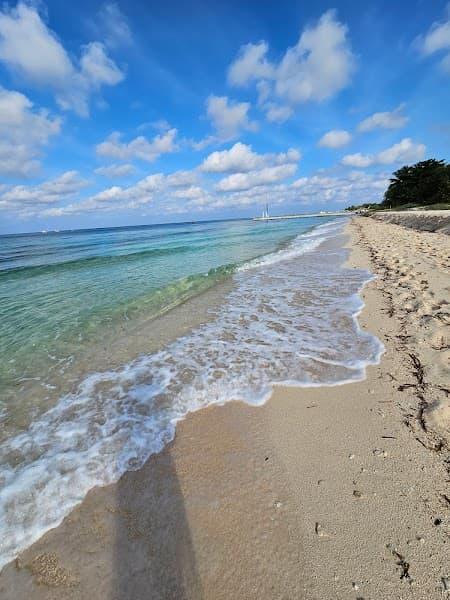 Amy Lynn Psychotherapy and Wellness Services