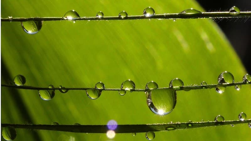 Aspire Counseling Group