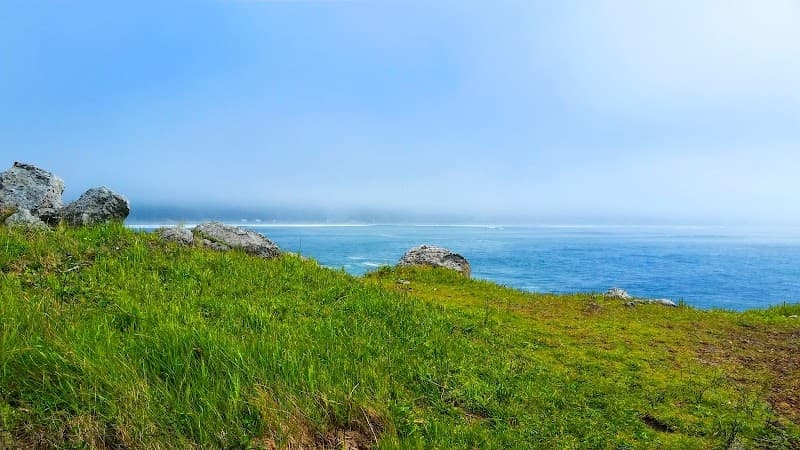 Aspire Mental Health and Wellness