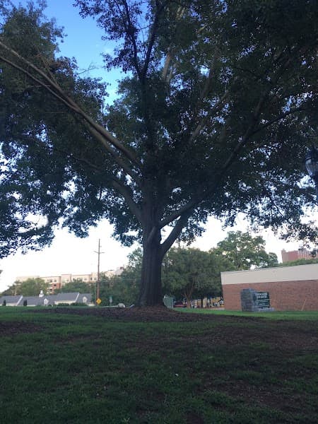 Athens Art Association