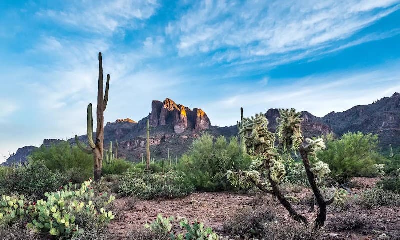 Attune Health & Wellness