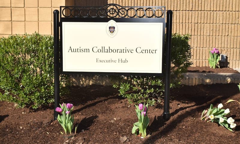 Autism Collaborative Center of Excellence