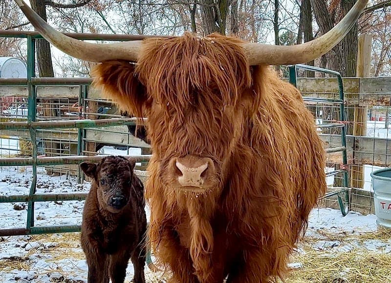 Back Forty Farm & Ranch