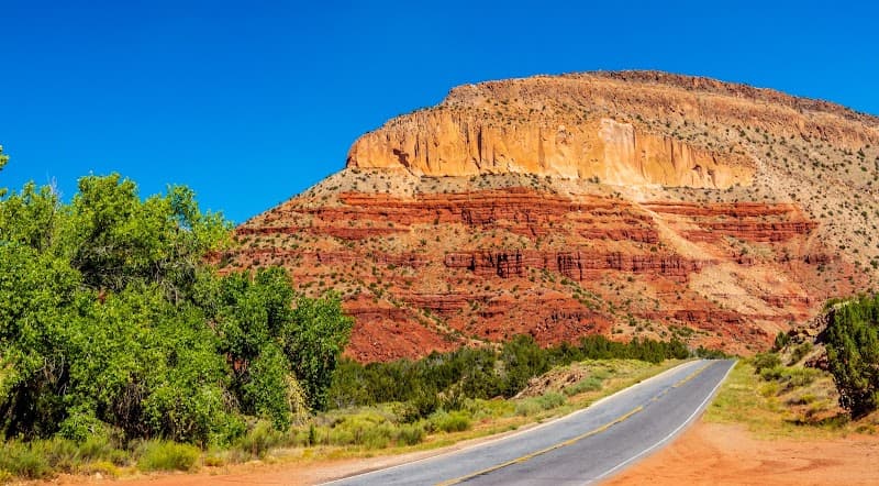 Barrett Estess, LPCC