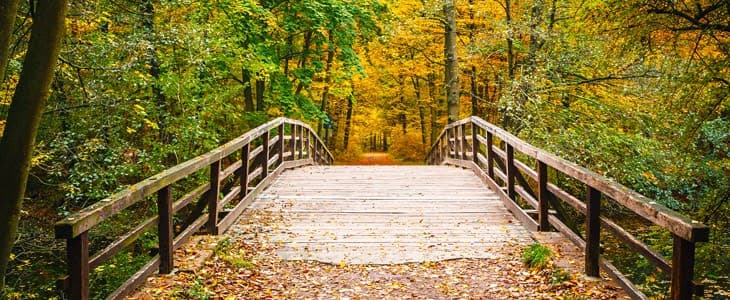 BEHAVIORAL WELLNESS GROUP