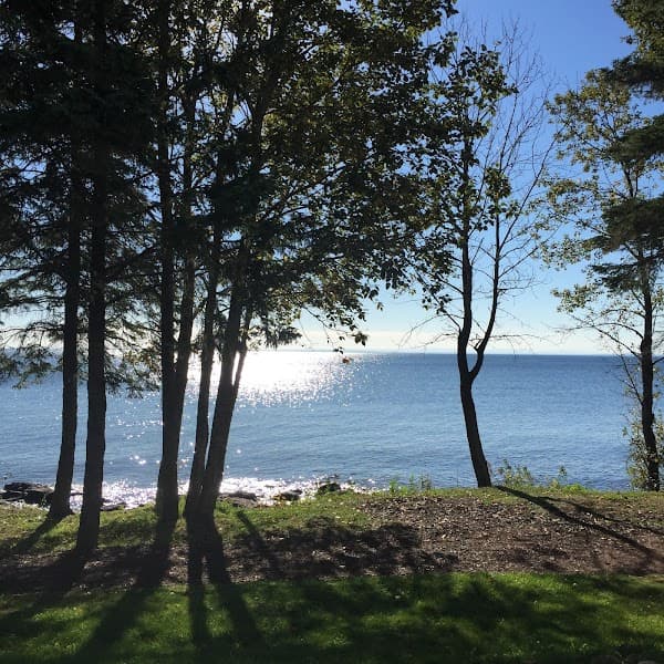 Brave Soul Counseling Services