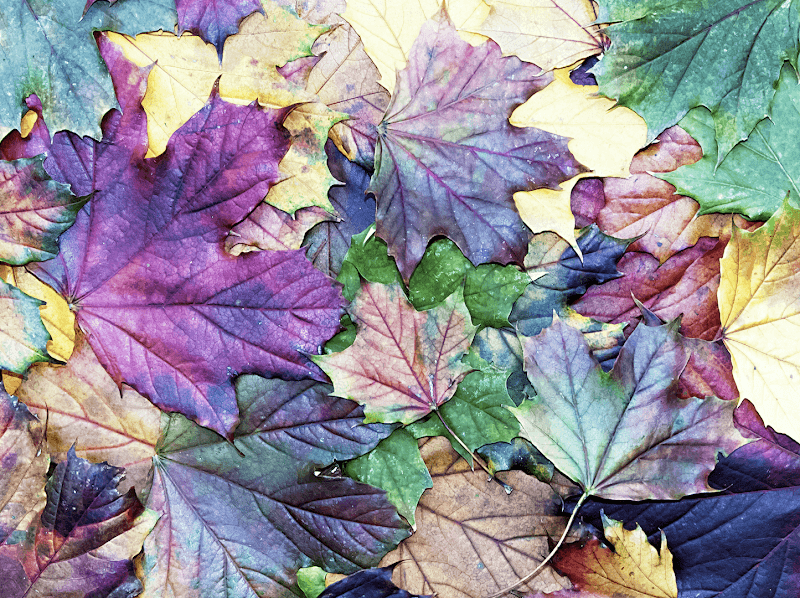 Brighter Side Counseling LLC