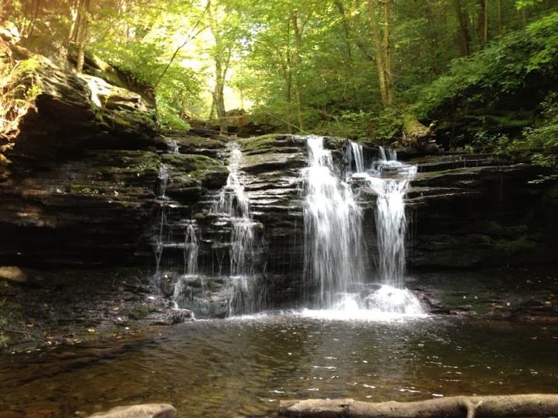 Center for Evidence Based Treatment - Orange County DBT and CBT