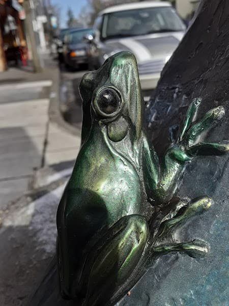 Center for the Arts Foundation