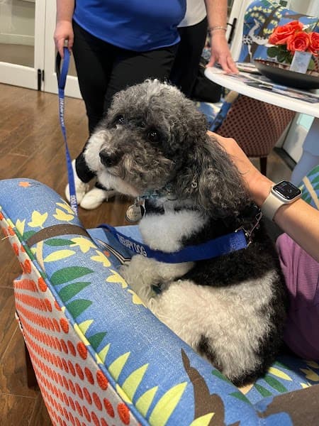 Children's Bereavement Center