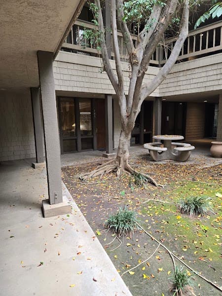 Claudia Bouslough Counseling