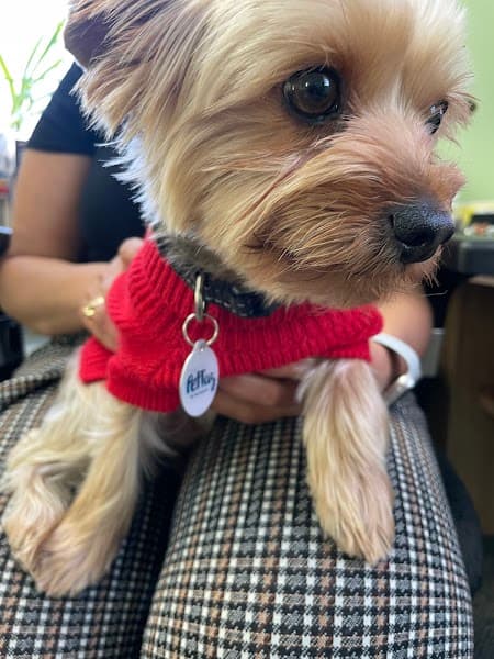 comprehensive minds LLC