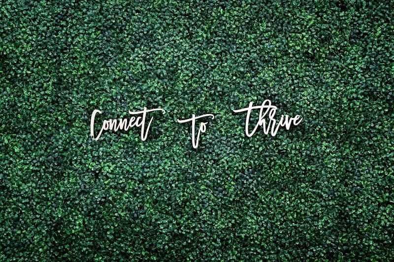 Connect to Thrive, LLC