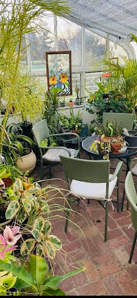 Counseling for Professionals