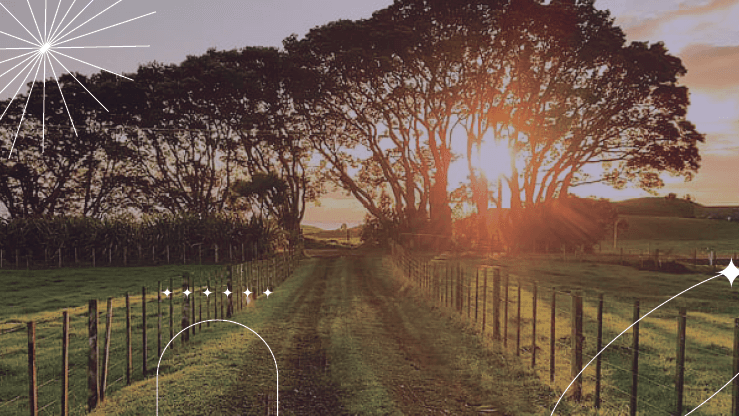 Country Road Recovery Center