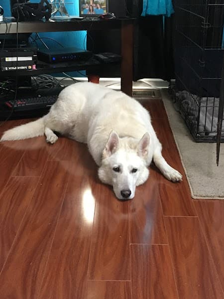 Courtney Oblinski, Mental Health Therapist