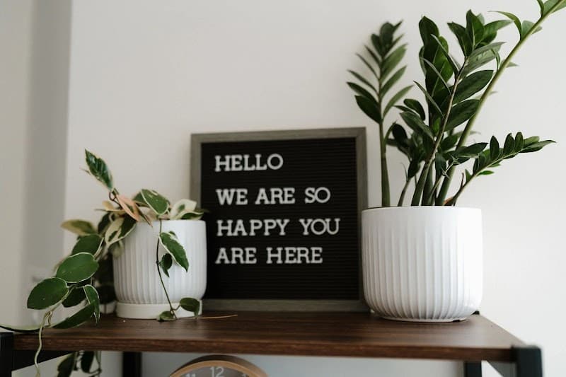 Cove Counseling Group