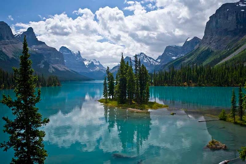 Craig H. Ravesloot, PHD