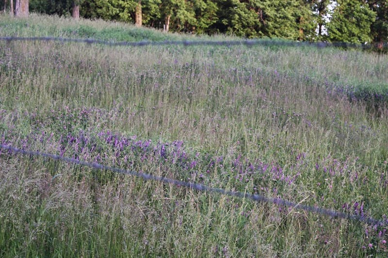 Creative Life Counseling