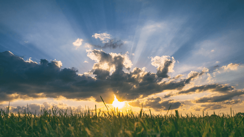 Daniel S. Haddad, LCSW, LLC