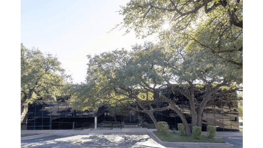 Deep Eddy Psychotherapy - Steck