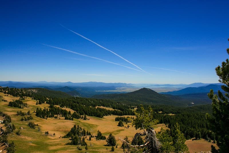 Deeply Rooted Counseling Center