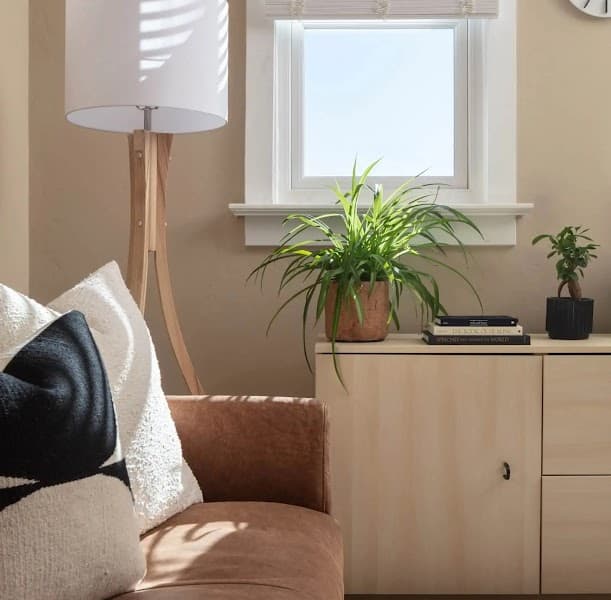 Denver Couples & Sex Therapy Southeast Denver