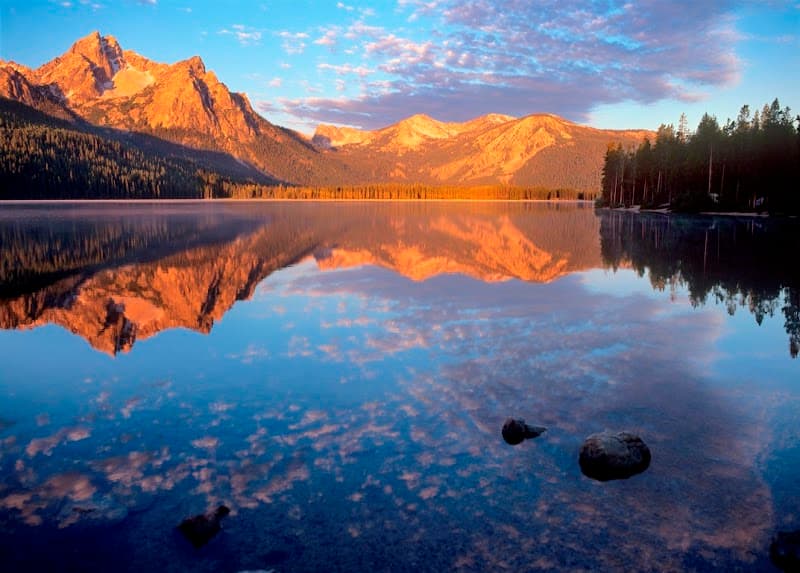 Denver Women's Recovery