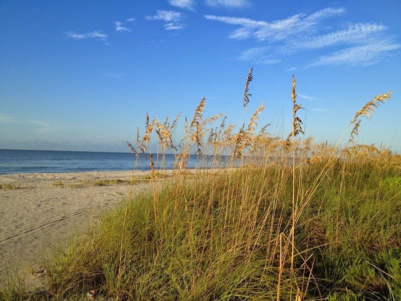 Dr. Katie Winham, Ph.D., Marriage and Family Therapist