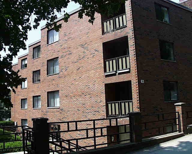 Dr. Marsha Vannicelli