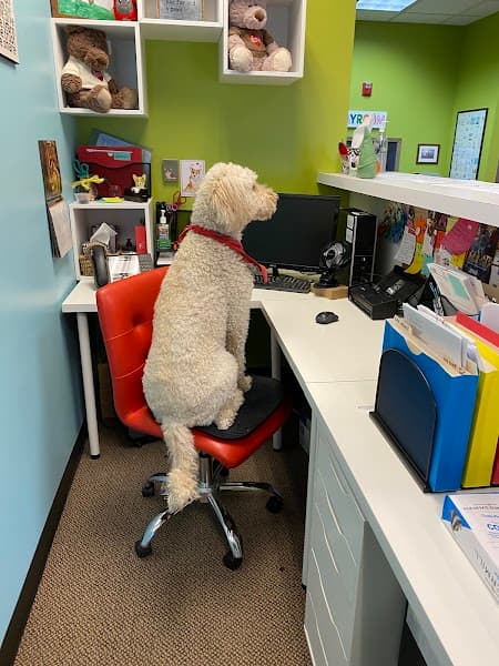 Early Childhood Wellness Place