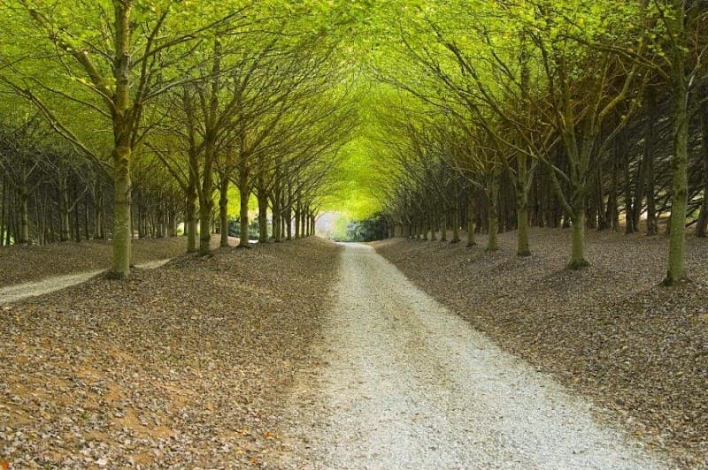 East West Therapy Hawaii