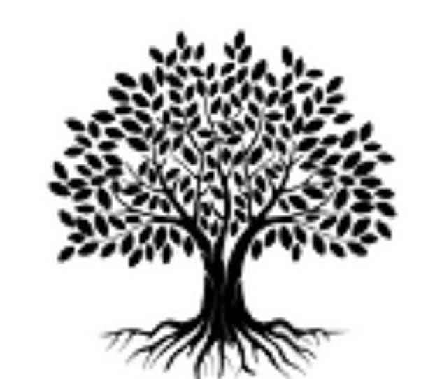 Elements Counseling & Wellness, LLC