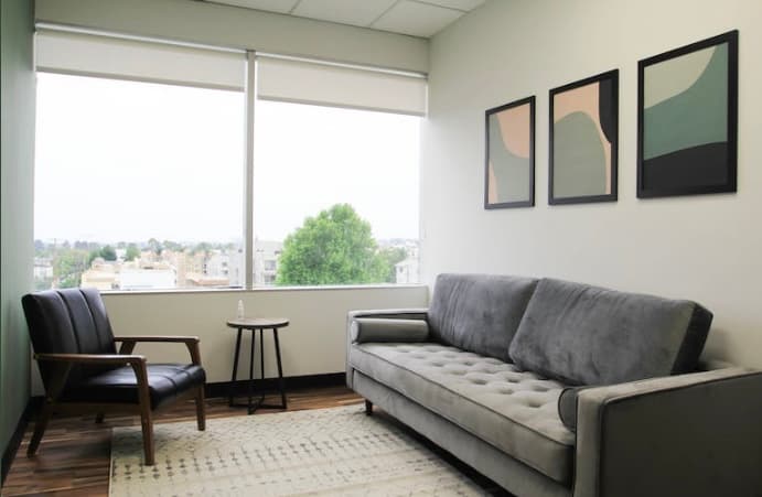 EMDR- Anna Solomon Therapy