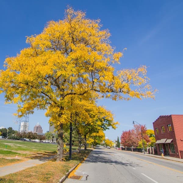 Endeavor Health Services