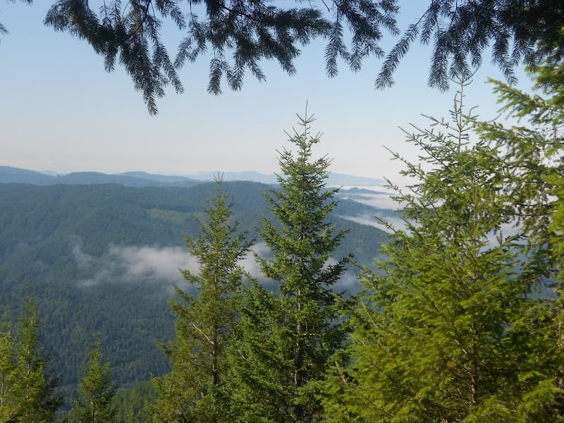 Evergreen Counseling SA