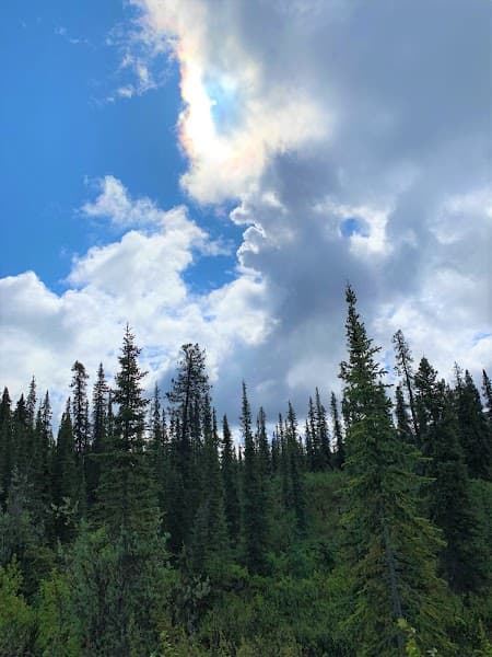 Evergreen Counseling Services