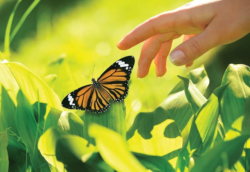 EveryStep Grief and Loss Services