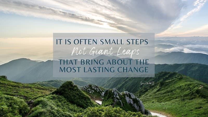 Experience Mental Wellness