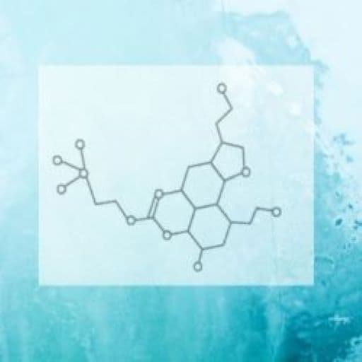 Full Life Counseling