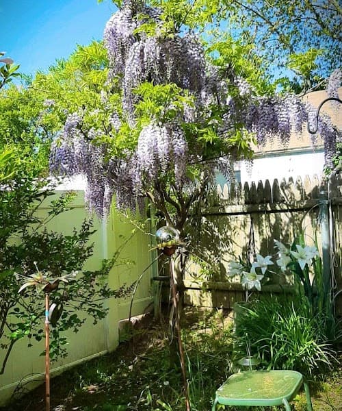 Garden City Psychiatry