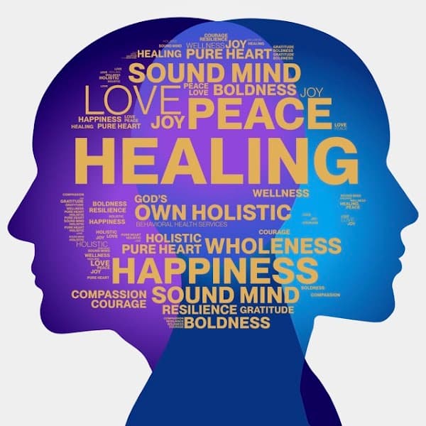 God's Own Holistic Behavioral Health Services,Inc.