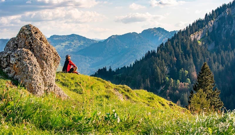 Green Pastures Grief and Loss Support Program