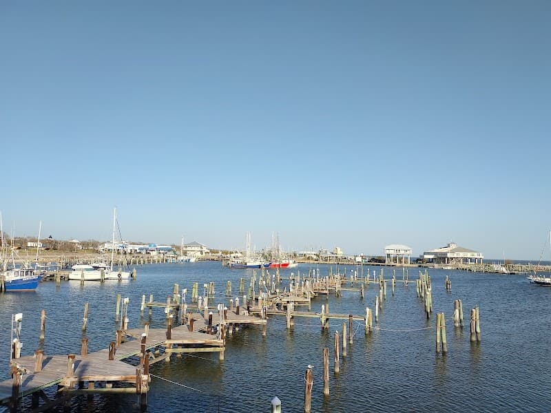 Gulf Coast Mental Health Center (CSU)