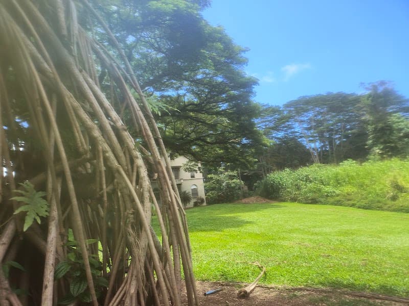 Hawai'i Care Choices