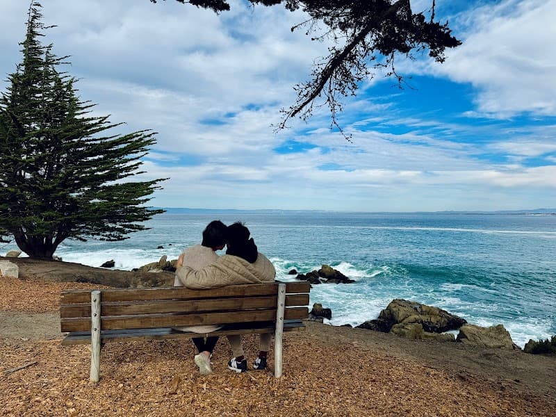 Heal by Connecting Couple Therapy