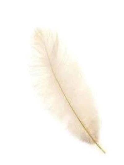 Healing-Spectrum LLC